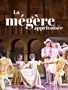 La mégère apprivoisée
