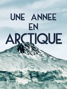 Une année en Arctique
