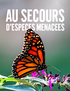 Au secours d'espèces menacées : Les gardiens de la biodiversité