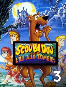 France 3 - Scooby Doo dans l'île des zombies