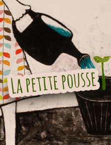 La petite pousse