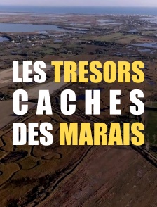 Les trésors cachés des marais