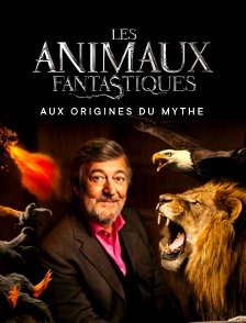 Les Animaux Fantastiques : Aux origines du mythe