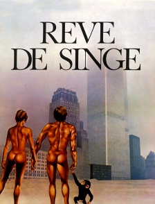 Rêve de singe
