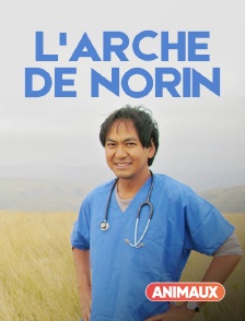 L'arche de Norin