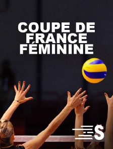 Volley-ball - Coupe de France féminine