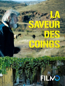 FilmoTV - La saveur des coings