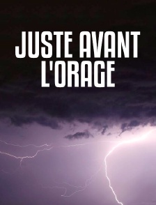 Juste avant l'orage
