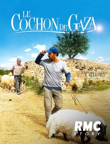 RMC Story - Le cochon de Gaza