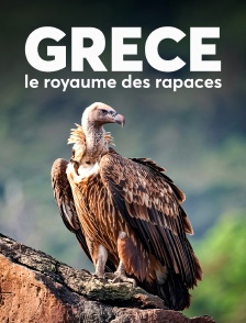 Grèce, le royaume des rapaces