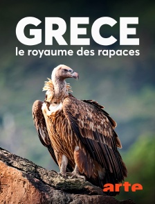 Arte - Grèce, le royaume des rapaces