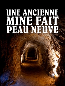Une ancienne mine fait peau neuve : le retour de la nature