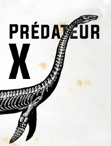 Prédateur X