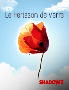 Shadowz - Le Hérisson de Verre