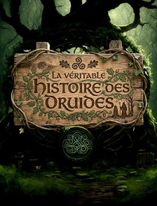 La véritable histoire des druides