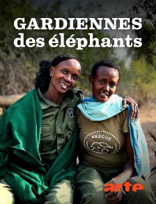 Arte - Kenya, gardiennes des éléphants