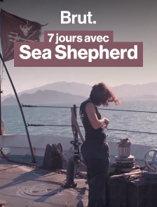 Il n'en resterait que 6 : la course pour sauver les vaquitas des braconniers