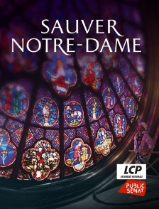 LCP Public Sénat - Sauver Notre-Dame
