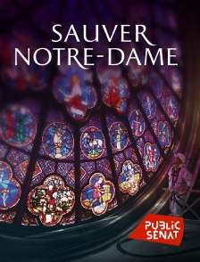 Public Sénat - Sauver Notre-Dame