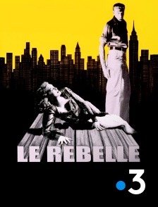 France 3 - Le rebelle