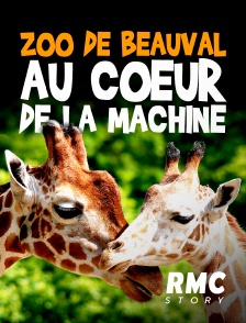 ZooParc de Beauval : au coeur de la machine