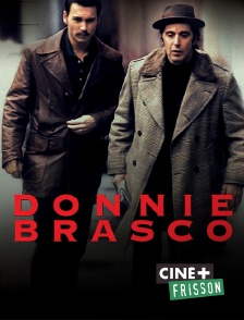 un cigarillo dans la piscine en streaming replay sur cine frisson molotov tv