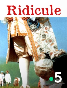 France 5 - Ridicule