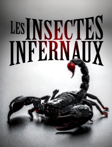 Les insectes infernaux
