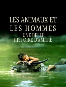 Les animaux et les hommes : une belle histoire d'amitié