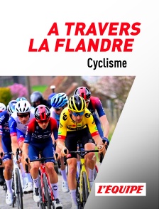 Cyclisme : A travers la Flandre