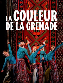 La Couleur de la grenade