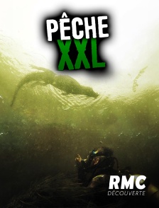 RMC Découverte - Pêche XXL