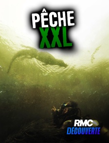 RMC Découverte - Pêche XXL
