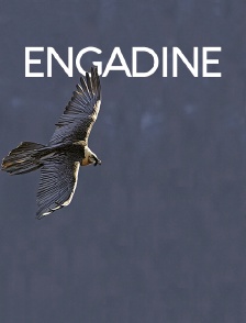 Engadine