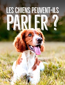 Les chiens peuvent-ils parler ? - Des boutons pour communiquer