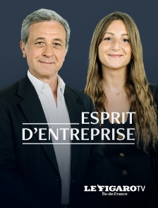 Esprit d'entreprise