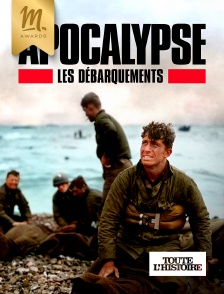 Toute l'Histoire - Apocalypse : Les débarquements