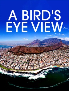 A Bird's Eye View