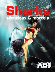 AB 1 - Sharks silencieux et mortels