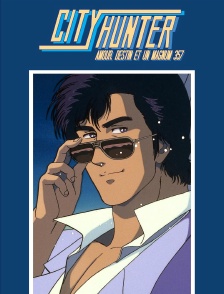 City Hunter : Amour, destin et un Magnum 357