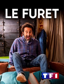 TF1 - Le furet