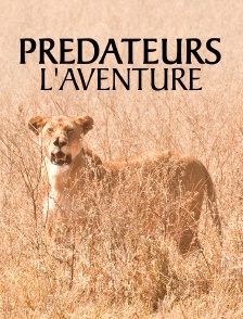 Prédateurs, l'aventure