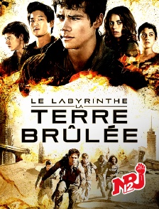 Le labyrinthe : la terre brûlée