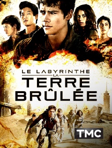 TMC - Le labyrinthe : la terre brûlée