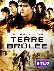 RTL 9 - Le labyrinthe : la terre brûlée