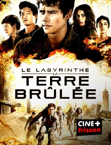 CINE+ Frisson - Le labyrinthe : la terre brûlée