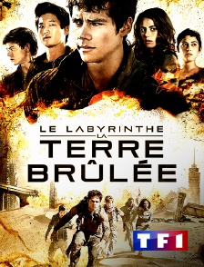 TF1 - Le labyrinthe : la terre brûlée