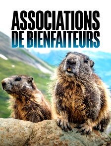 Associations de bienfaiteurs