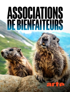 Arte - Associations de bienfaiteurs