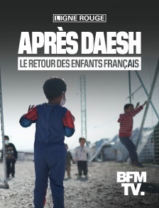 Après Daech, l'impossible retour des enfants français?